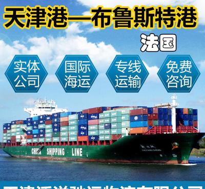 國際貨運代理與集裝箱海運出口法國專線 天津港至布魯斯特港全程解析
